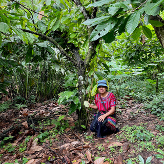 Beronica, maestra de cacao