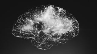 Neurovoeding: je hersenen voeden
