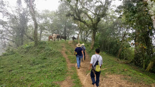 hiking with cacao farmers