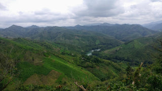 view of the cahabon natural area