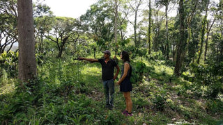 Leonie at cacao farm