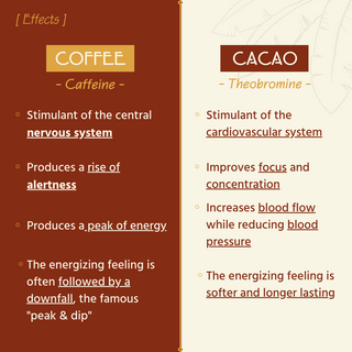 Differences in effects between coffee and cacao