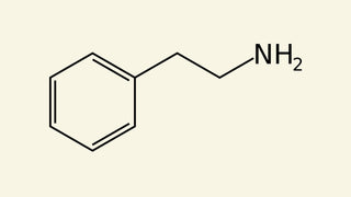 Phenethylamine blog cacao