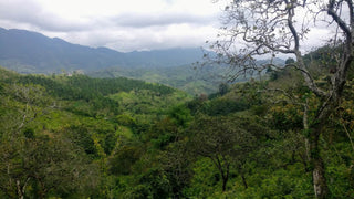 cahabon view of the healthy land