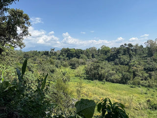 Cacahoatán - 100% cacao from Mexico