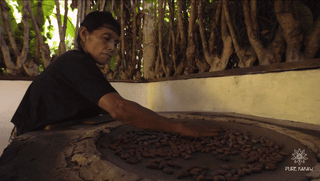 Cacao roasting on traditional comal