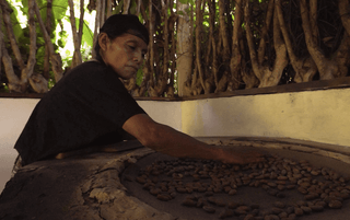 traditionally roasting cacao